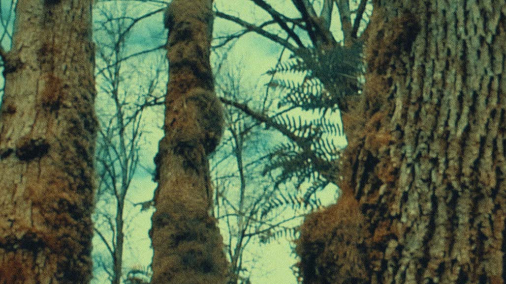 Impactist FR Still Frame 23