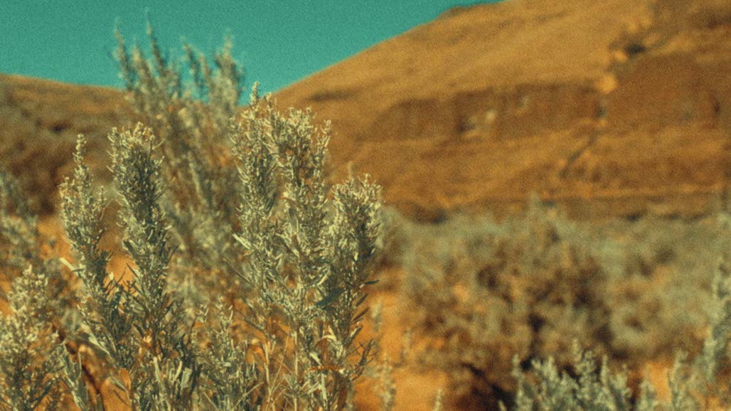 Impactist FR Still Frame 03