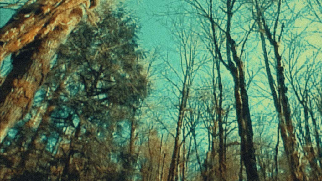 Impactist FR Still Frame 18