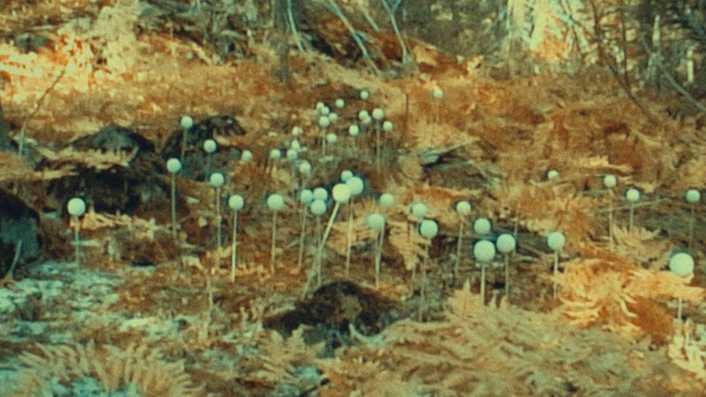 Impactist FR Still Frame 32