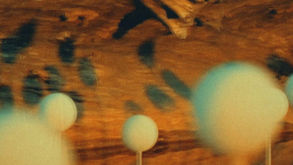 Impactist FR Still Frame 24