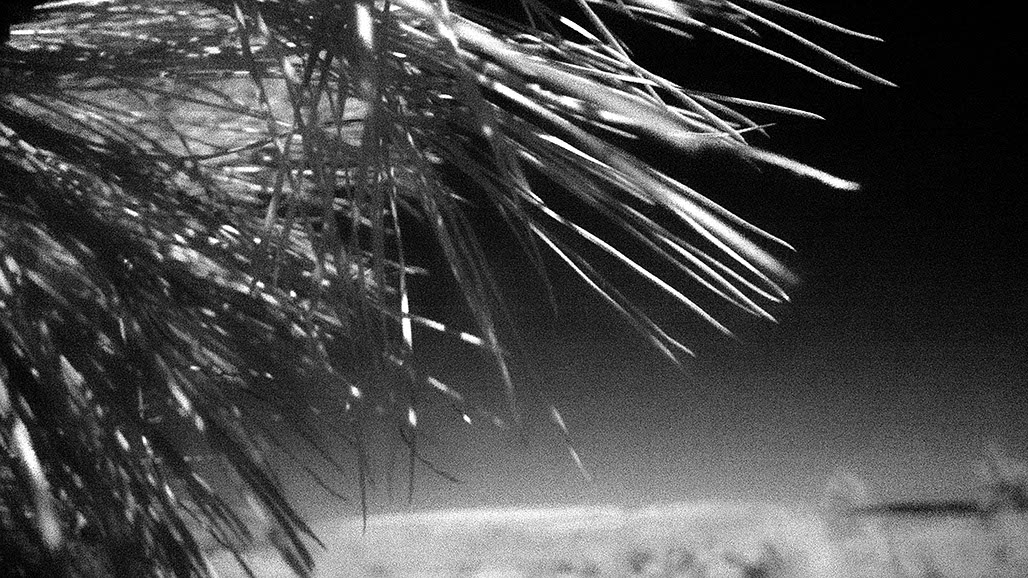 Impactist Inky Still Frame 19