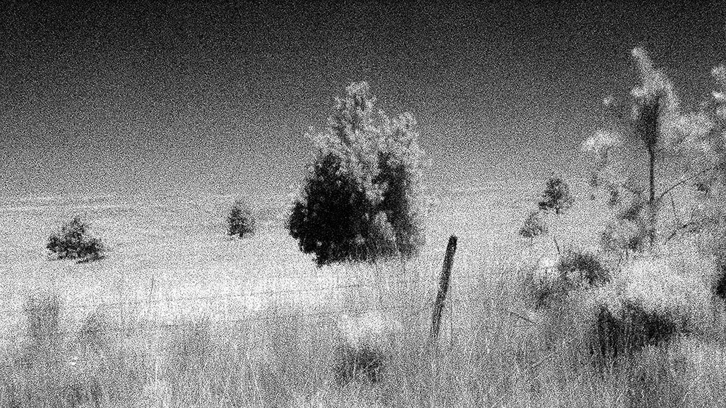 Impactist Inky Still Frame 01