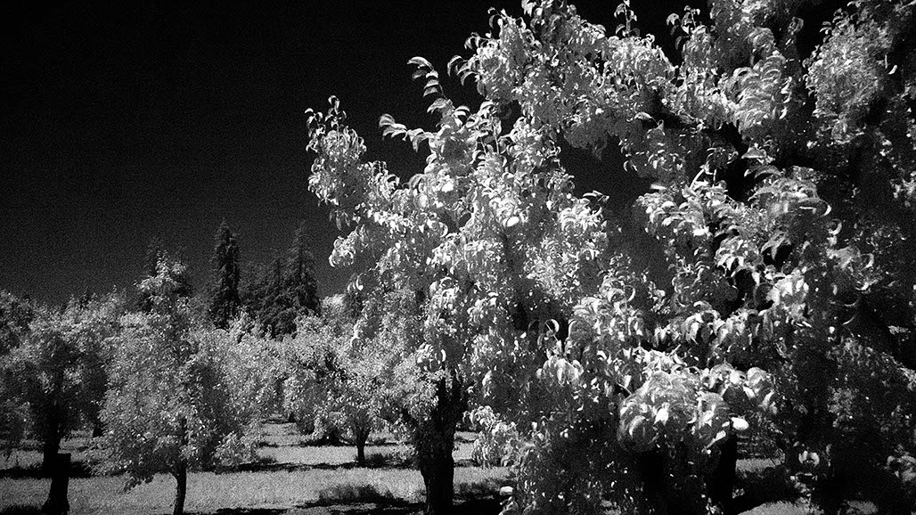 Impactist Inky Black Wax Catastrophe Image