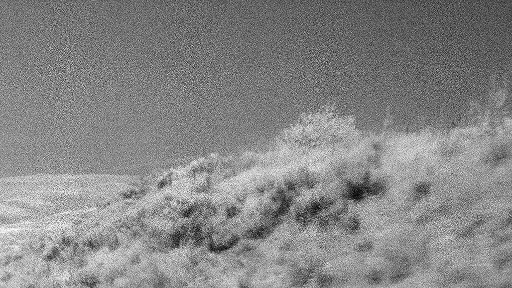 Impactist Inky Still Frame 24