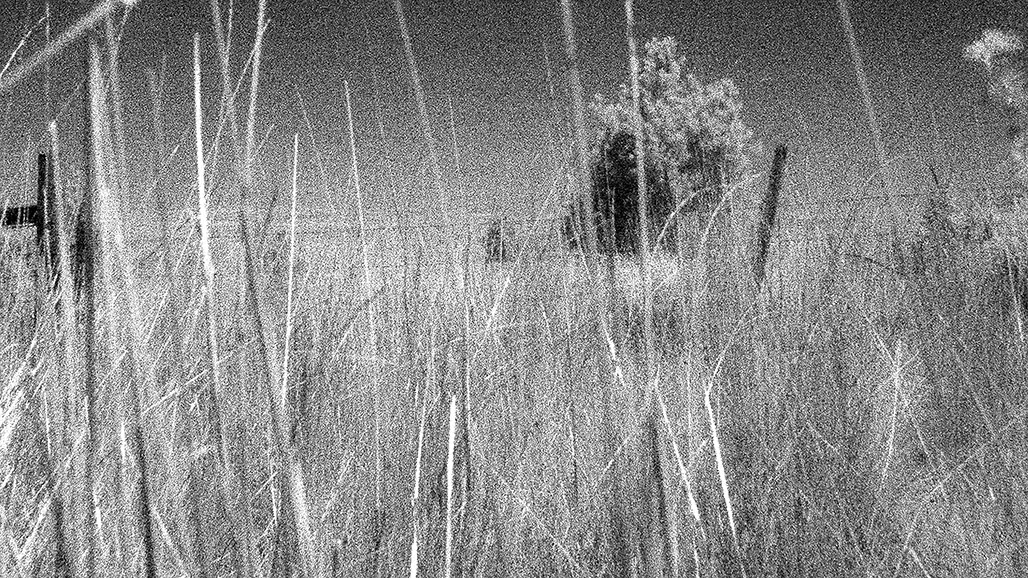 Impactist Inky Still Frame 26