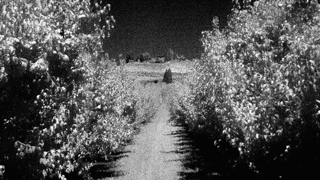 Impactist Inky Still Frame 03