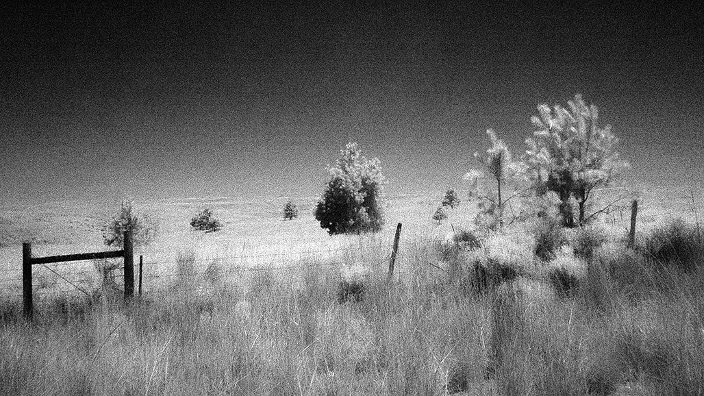 Impactist Inky Still Frame 11