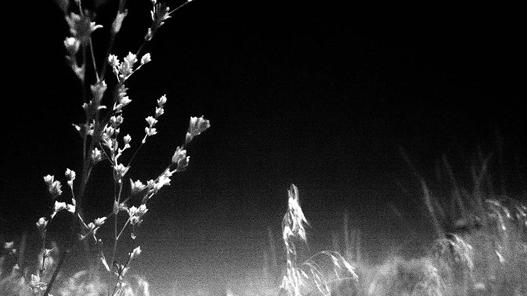 Impactist Inky Still Frame 04