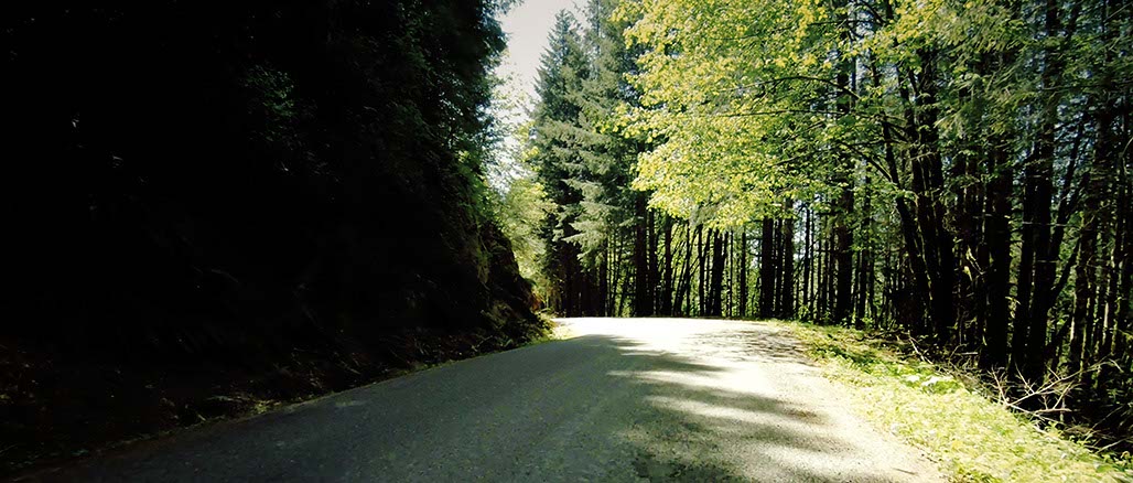 Impactist Inside Still Frame 12