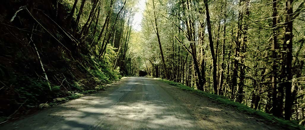 Impactist Inside Still Frame 08