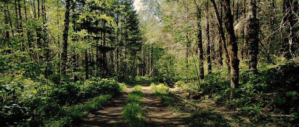 Impactist Inside Still Frame 04