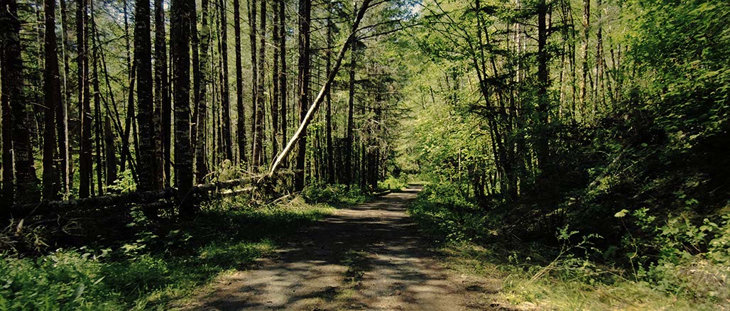 Impactist Inside Still Frame 15