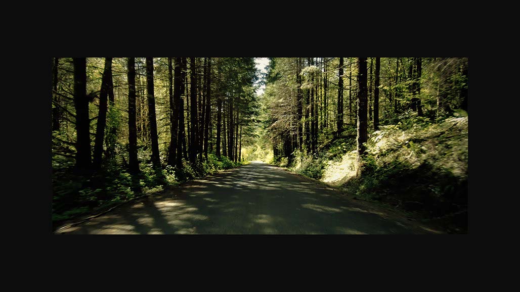 Impactist Proteus Requests a Dialogue Still Frame 17