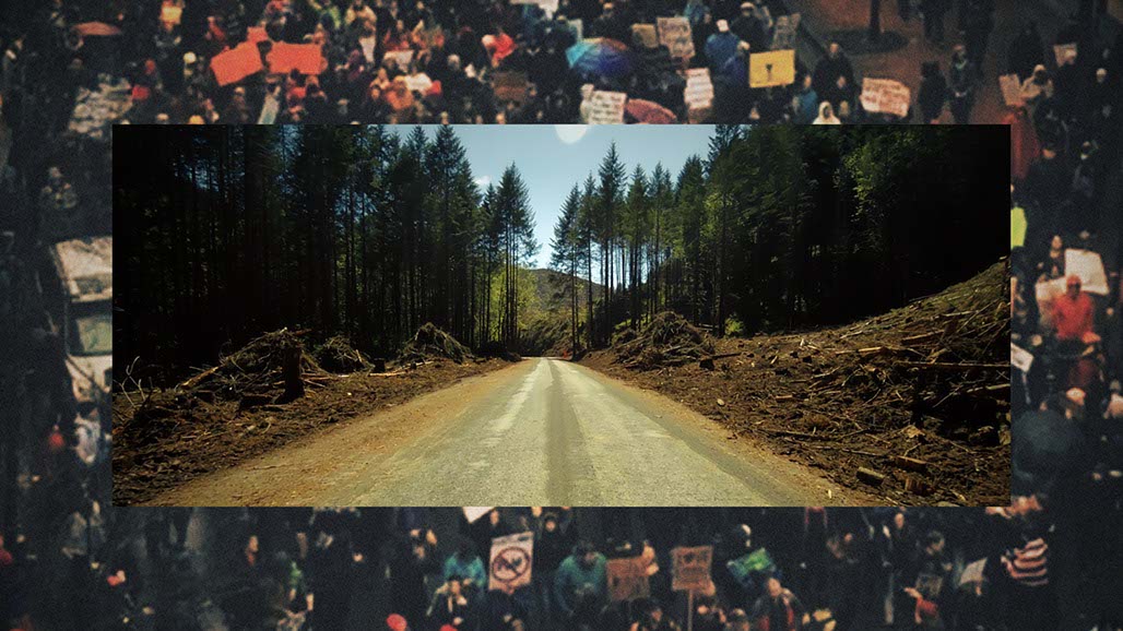 Impactist Proteus Requests a Dialogue Still Frame 13