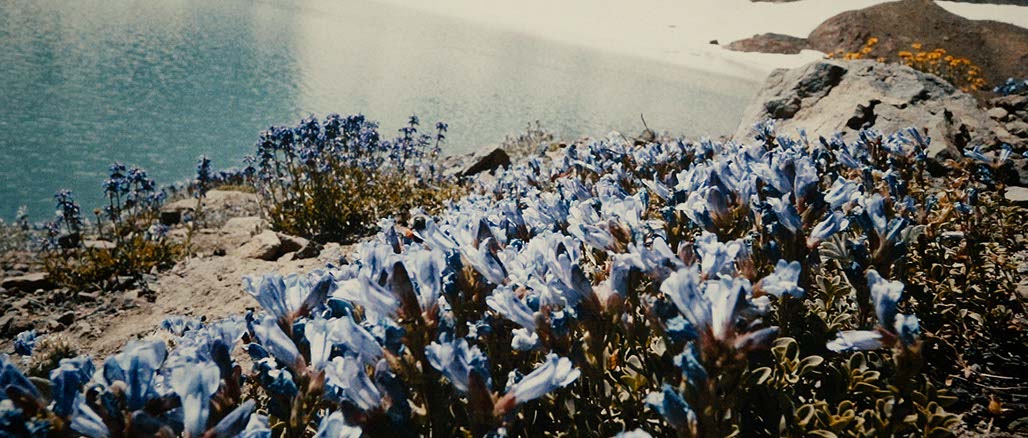 Impactist SSP Still Frame 22