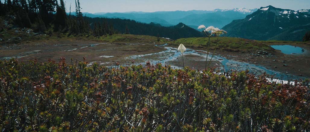 Impactist SSP Still Frame 31