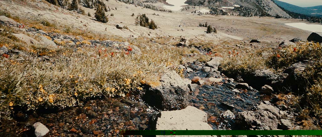 Impactist SSP Still Frame 16