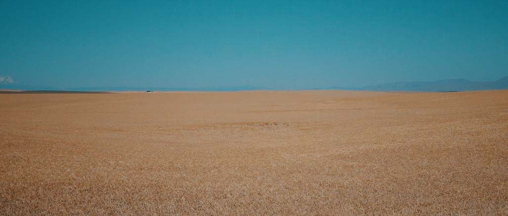 Impactist SSP Still Frame 02