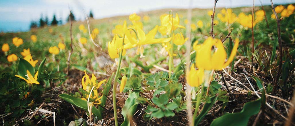 Impactist SSP Still Frame 32