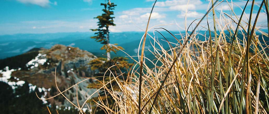 Impactist SSP Still Frame 12