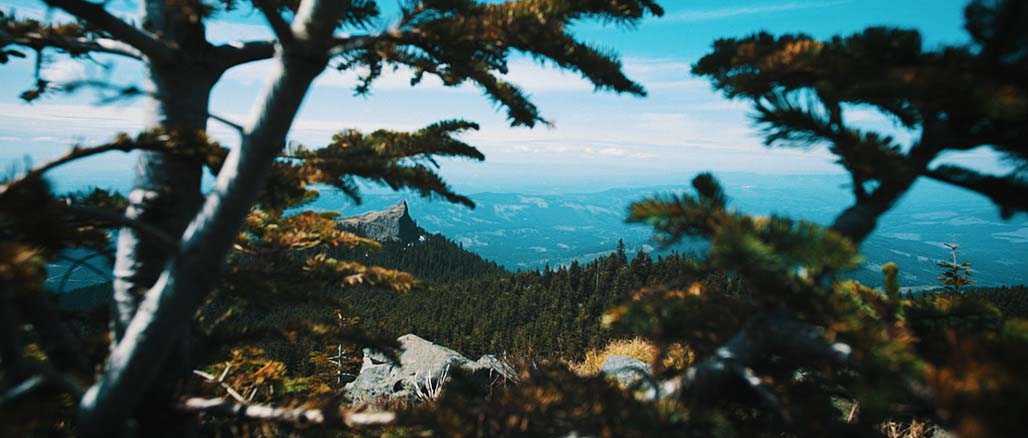 Impactist Sensual Self Programming Image