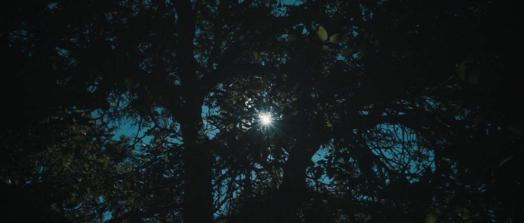 Impactist SSP Still Frame 05