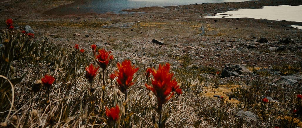 Impactist SSP Still Frame 08