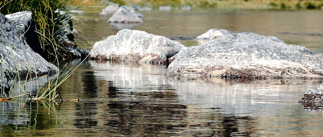 Impactist SSP Still Frame 34