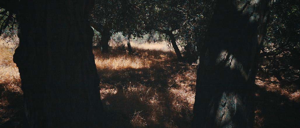 Impactist SSP Still Frame 17