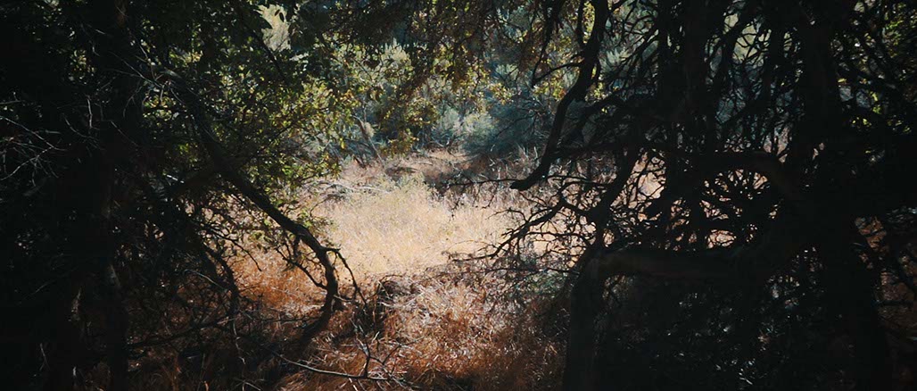 Impactist SSP Still Frame 26