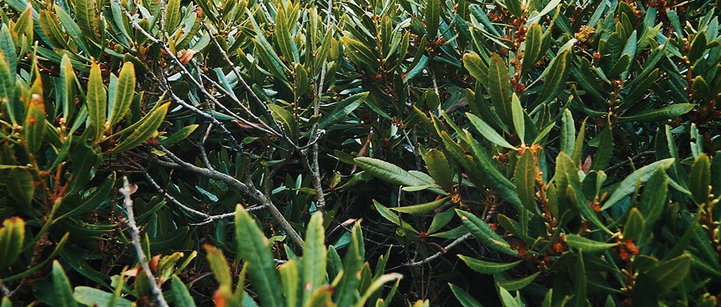 Impactist SSP Still Frame 13