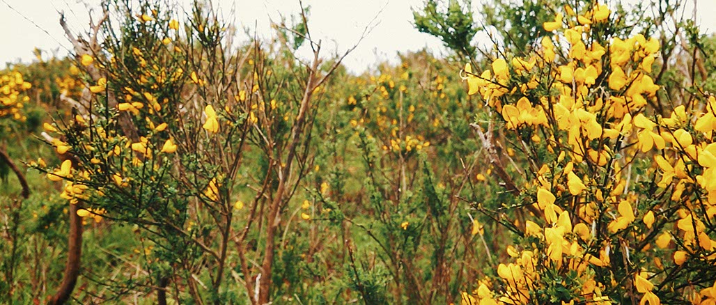 Impactist SSP Still Frame 21