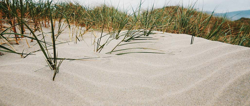 Impactist SSP Still Frame 30