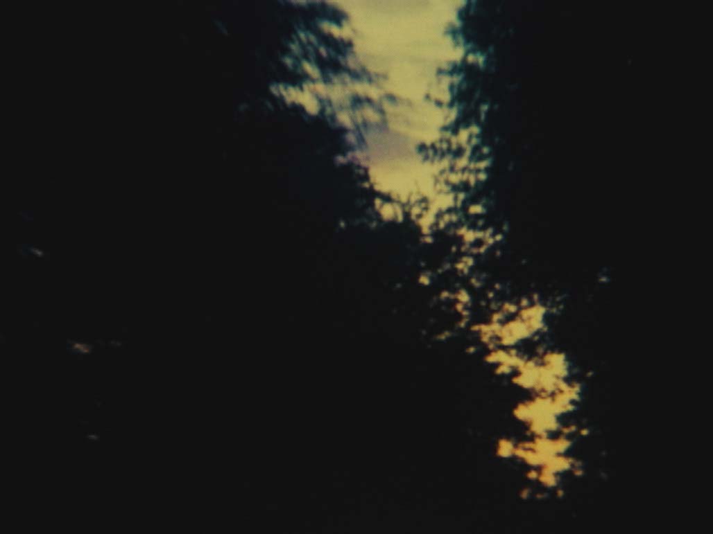 Impactist Time Landscape Still Frame 04