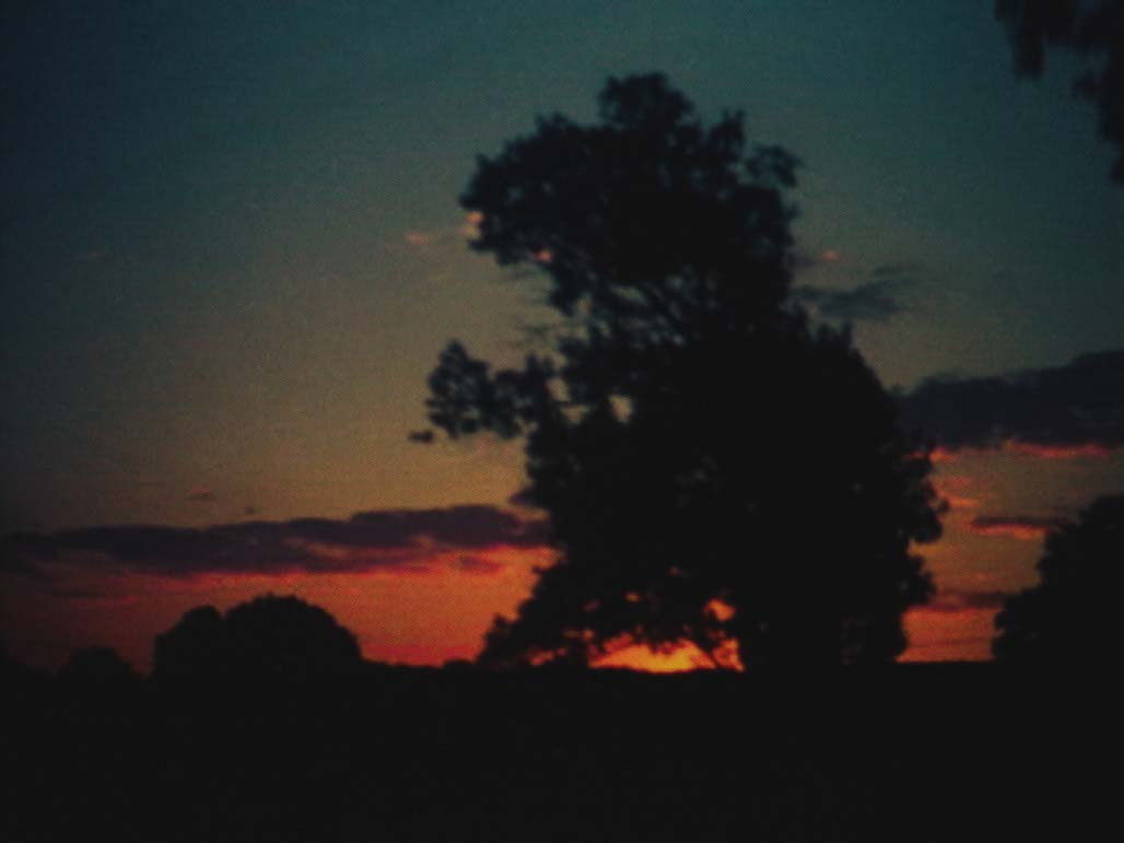 Impactist Time Landscape Still Frame 06