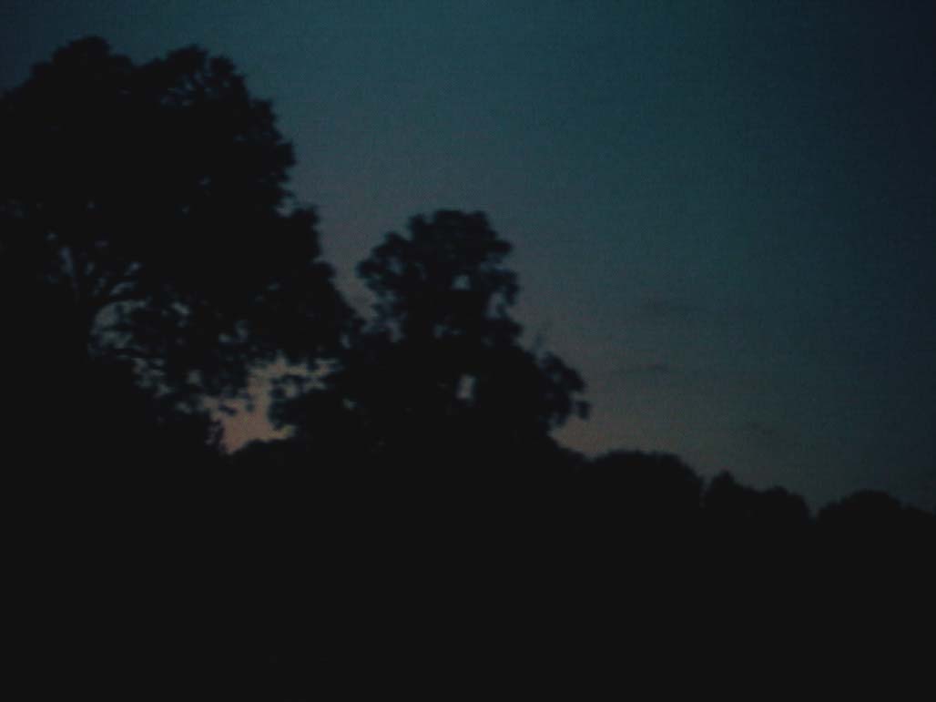 Impactist Time Landscape Still Frame 11