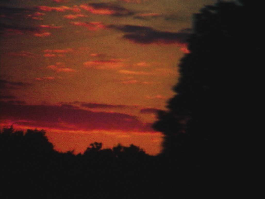 Impactist Time Landscape Still Frame 01