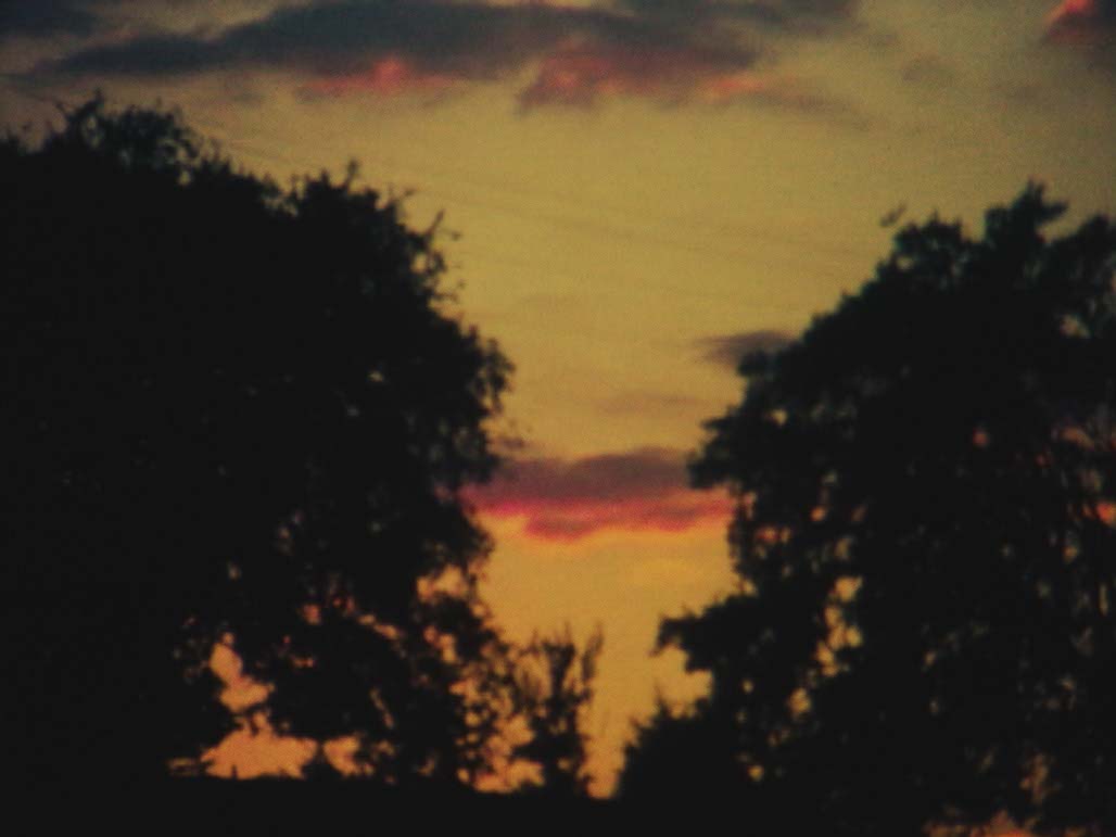 Impactist Time Landscape Still Frame 15