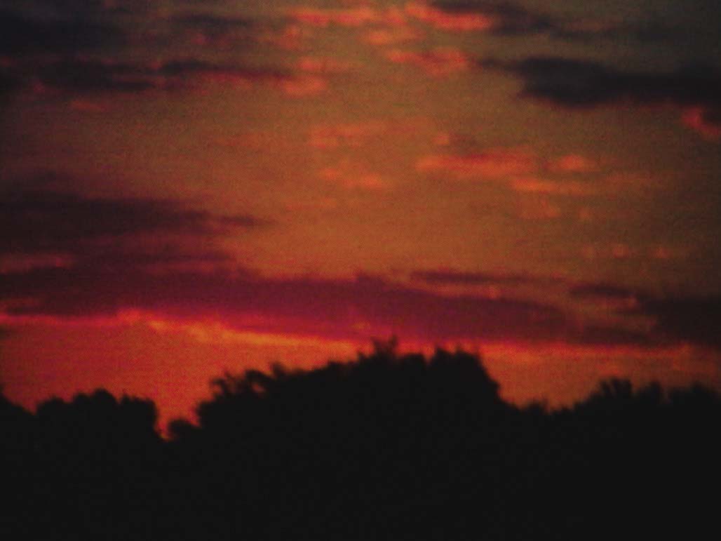 Impactist Time Landscape Still Frame 12