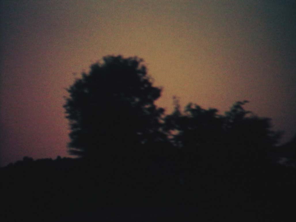 Impactist Time Landscape Still Frame 09