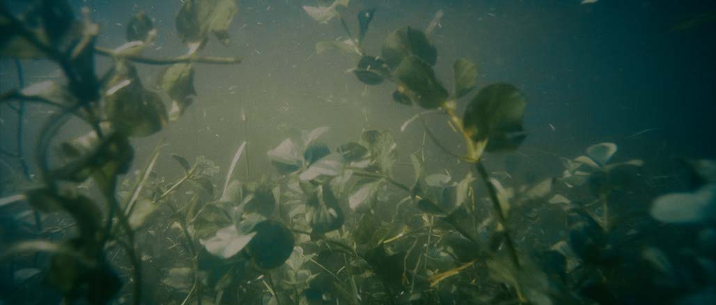 Impactist Weather Still Frame 25