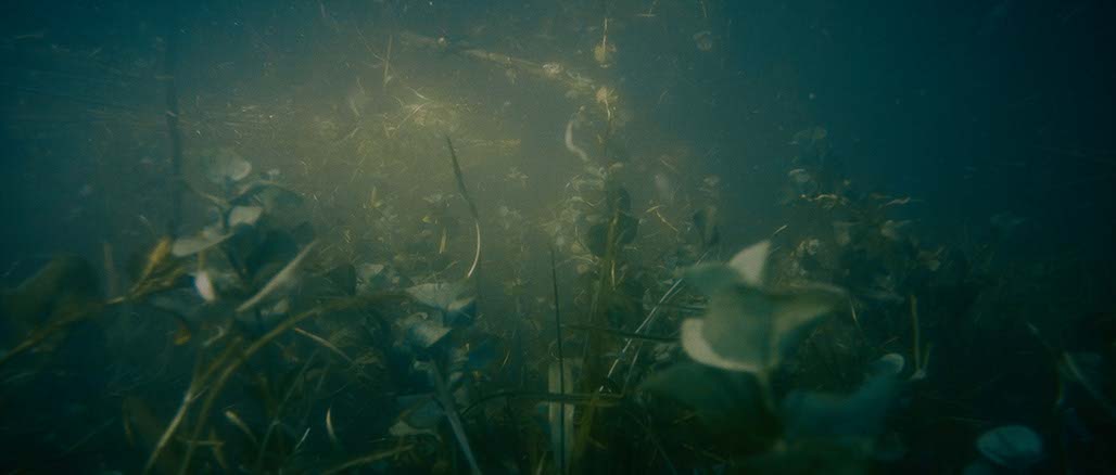 Impactist Weather Still Frame 08