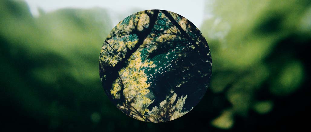 Impactist Weather Still Frame 11