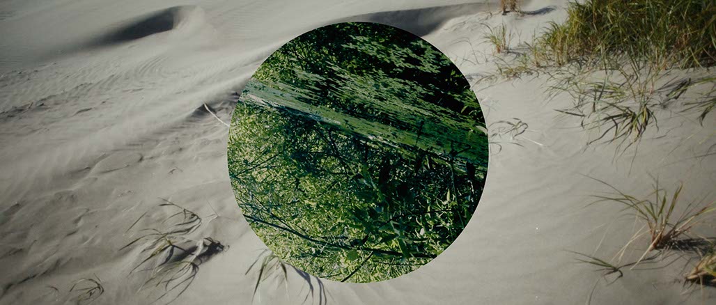 Impactist Weather Still Frame 10