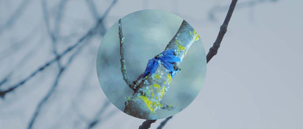 Impactist Weather Still Frame 04