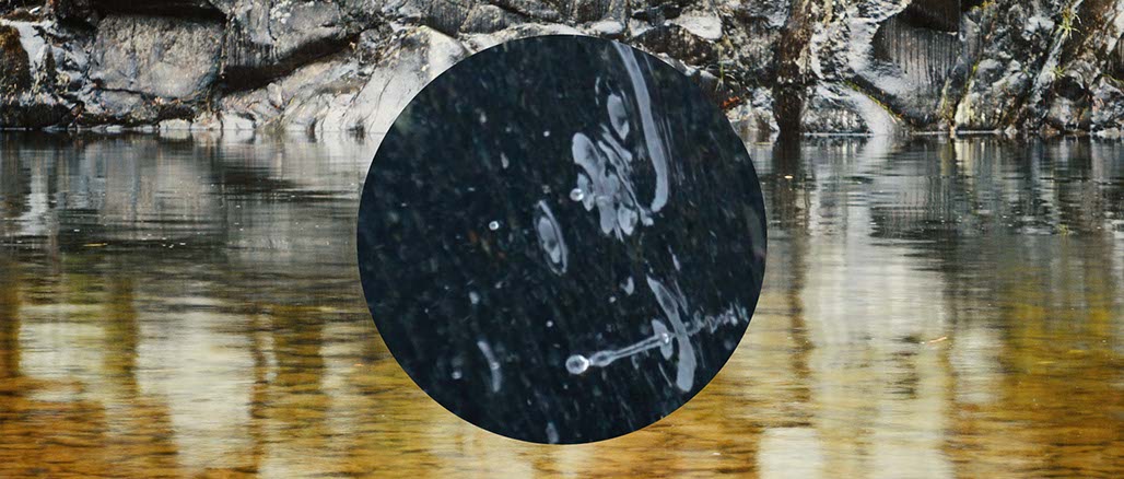 Impactist Weather Still Frame 28