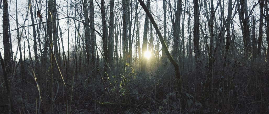 Impactist Weather Still Frame 14