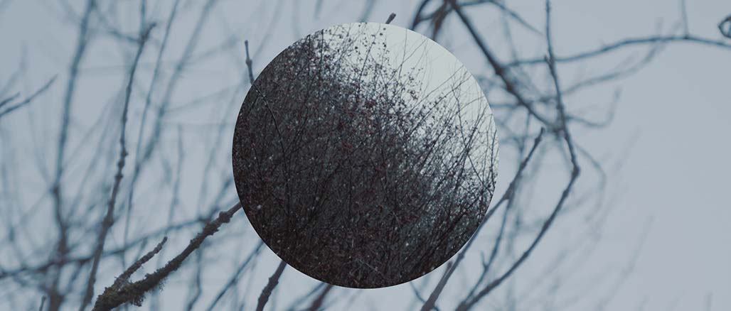 Impactist Weather Still Frame 23