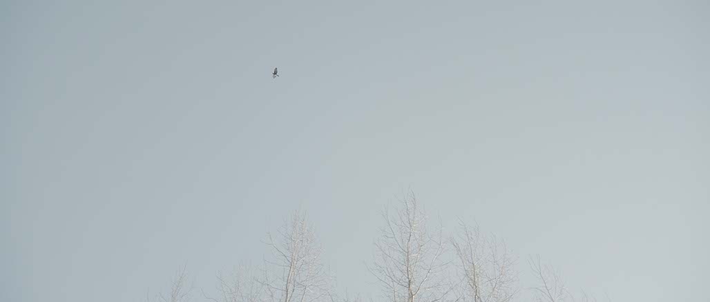 Impactist Weather Still Frame 26